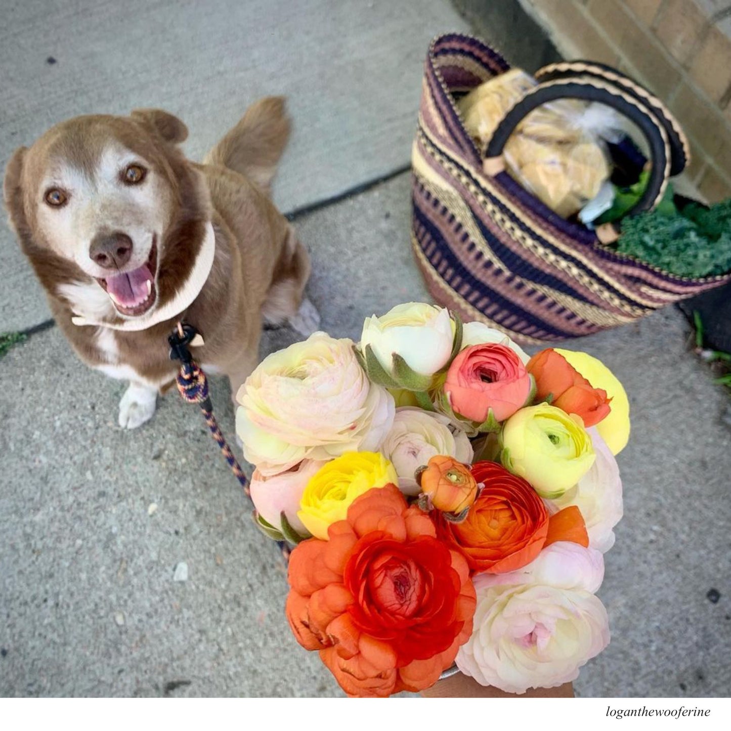 Shopper Basket
