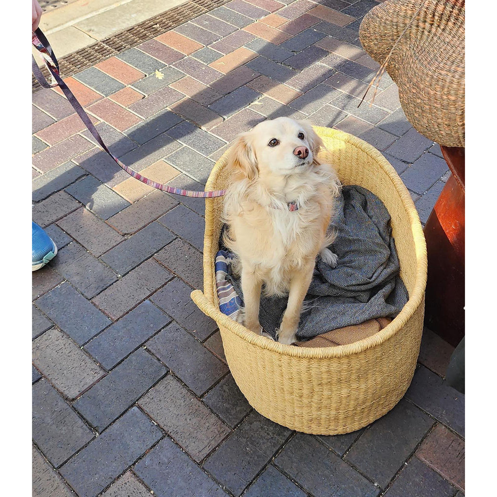 Eco-Friendly Dog Bed