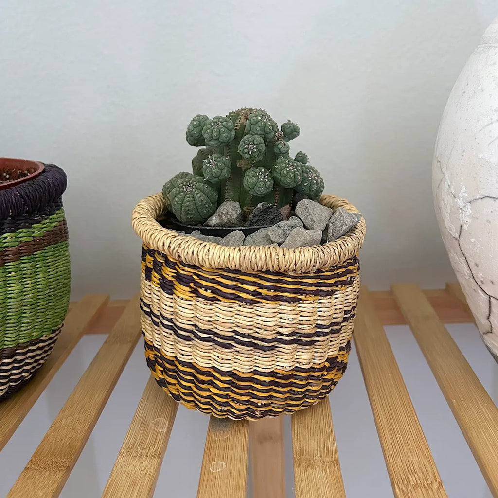 Mini Planter