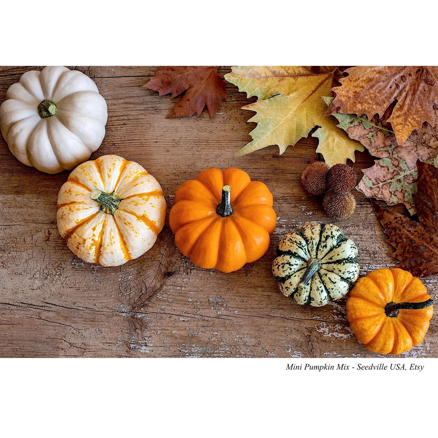 Pumpkin Tote