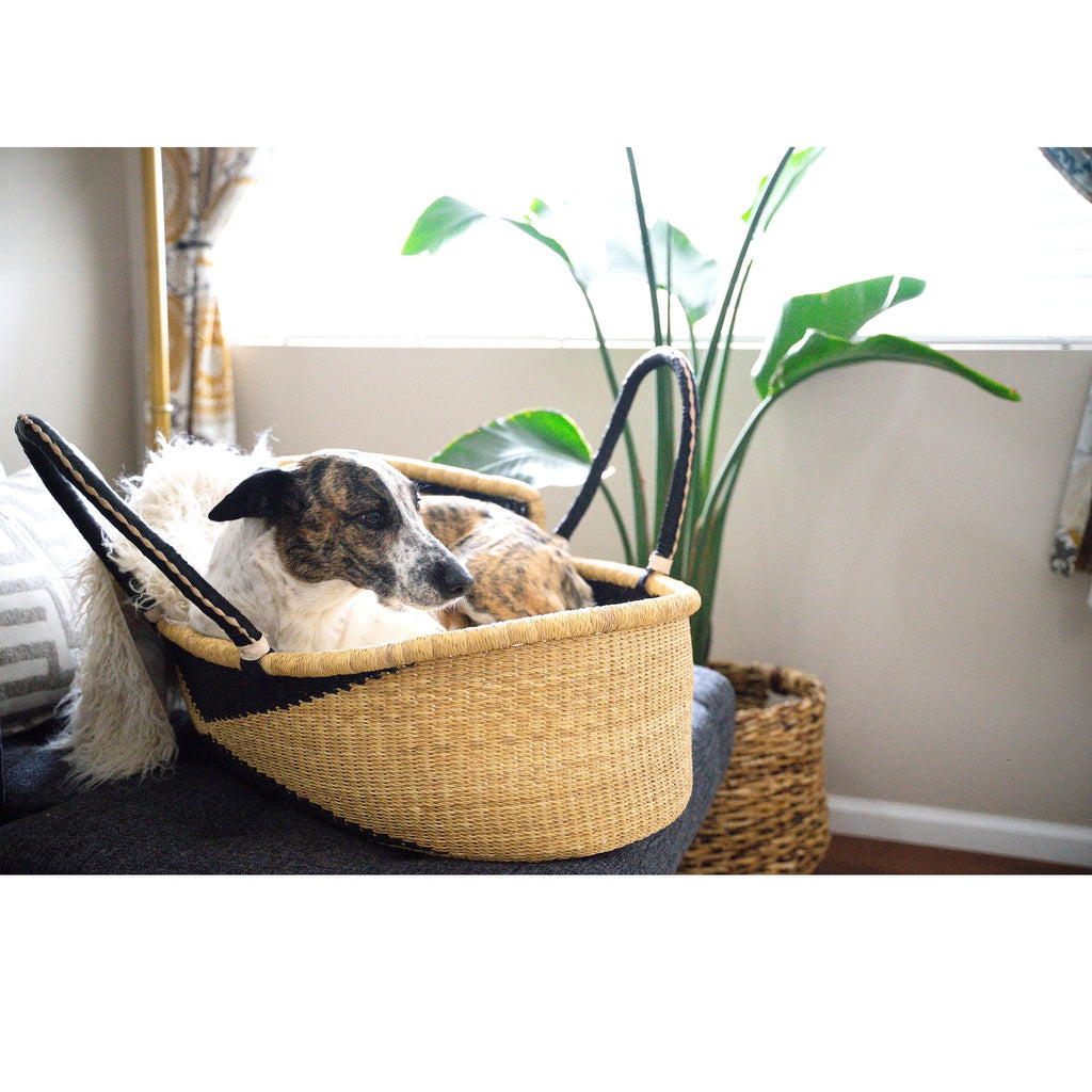 Baby Moses Basket