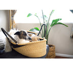 Baby Moses Basket