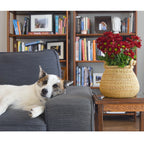 Bell-Shaped Basket / Plant Holder