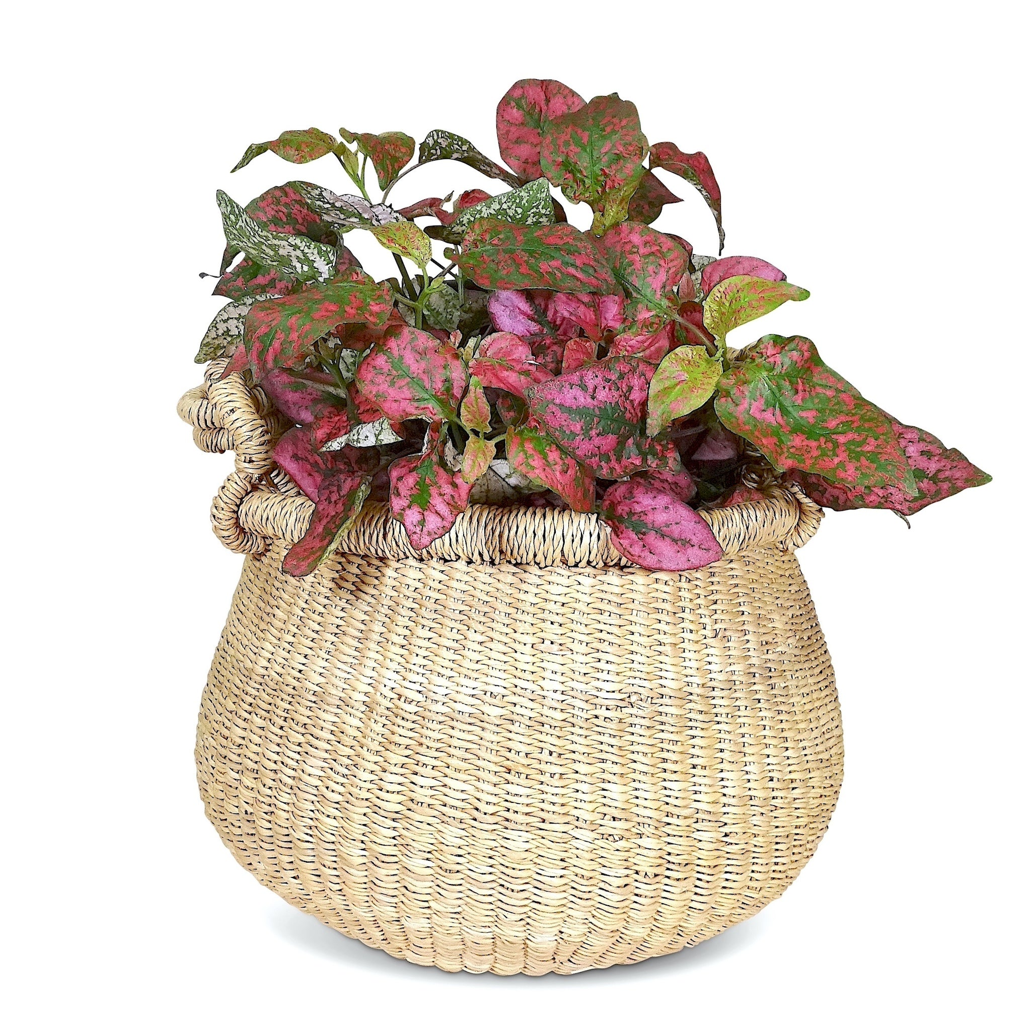 hanging basket plant holder Bell-Shaped Basket / Plant Holder – Ti-a Woven Goods