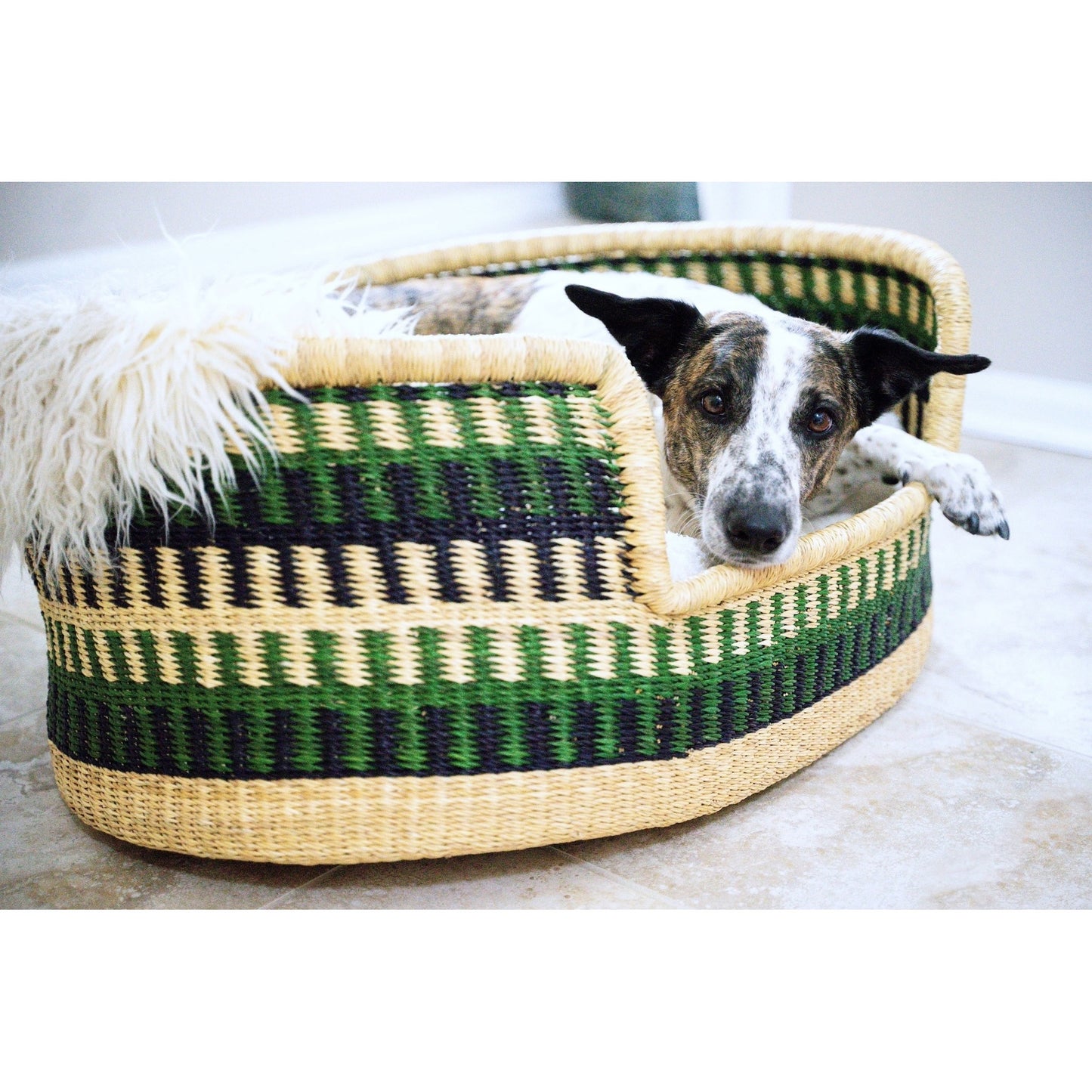 Eco-Friendly Dog Bed