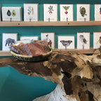 Table Decor - Woven Plate Set - SALE