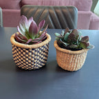 Mini Planter