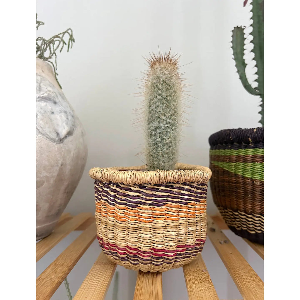Mini Planter