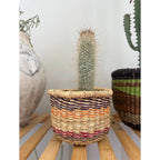 Mini Planter